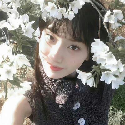 盔甲之歌