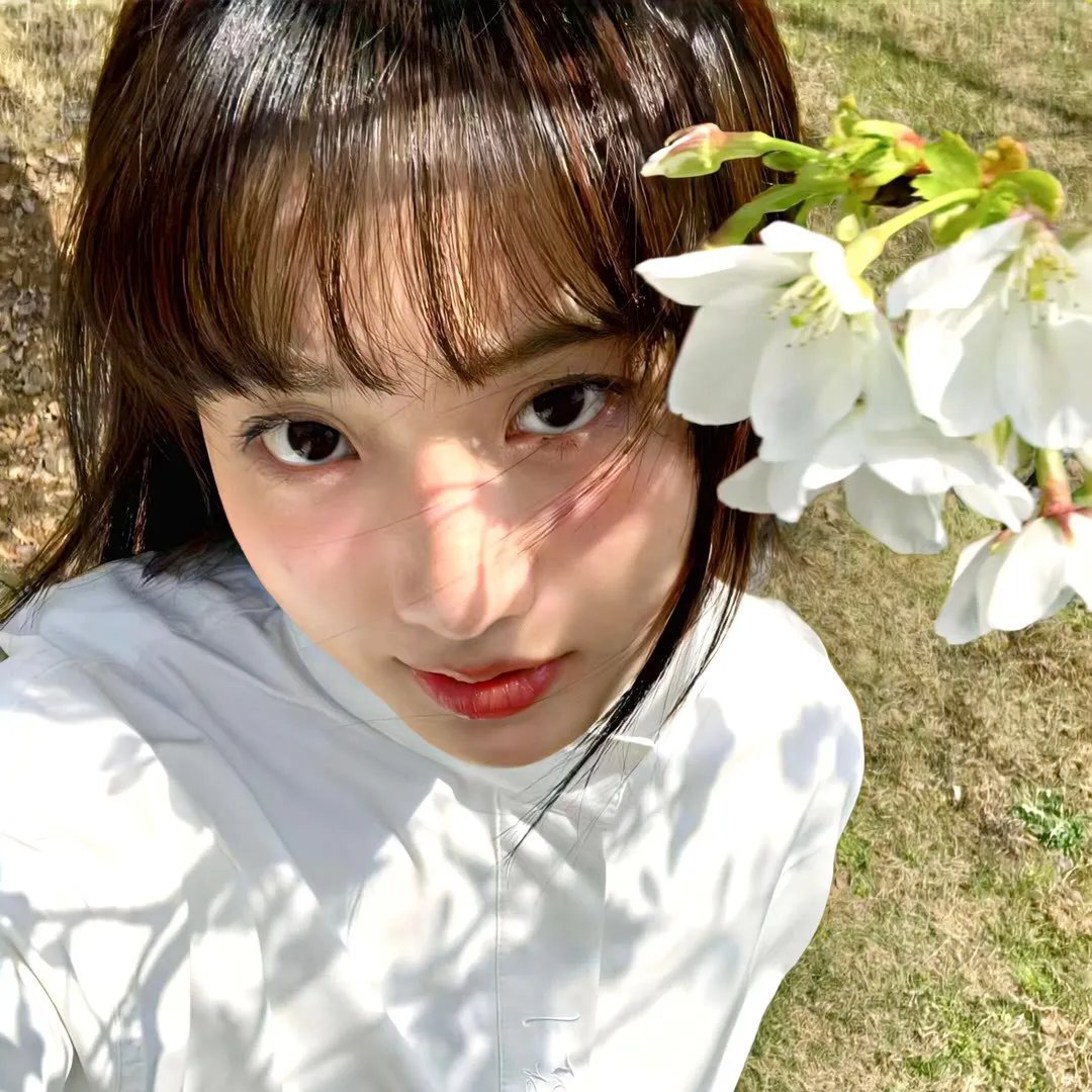 蜗牛的策略